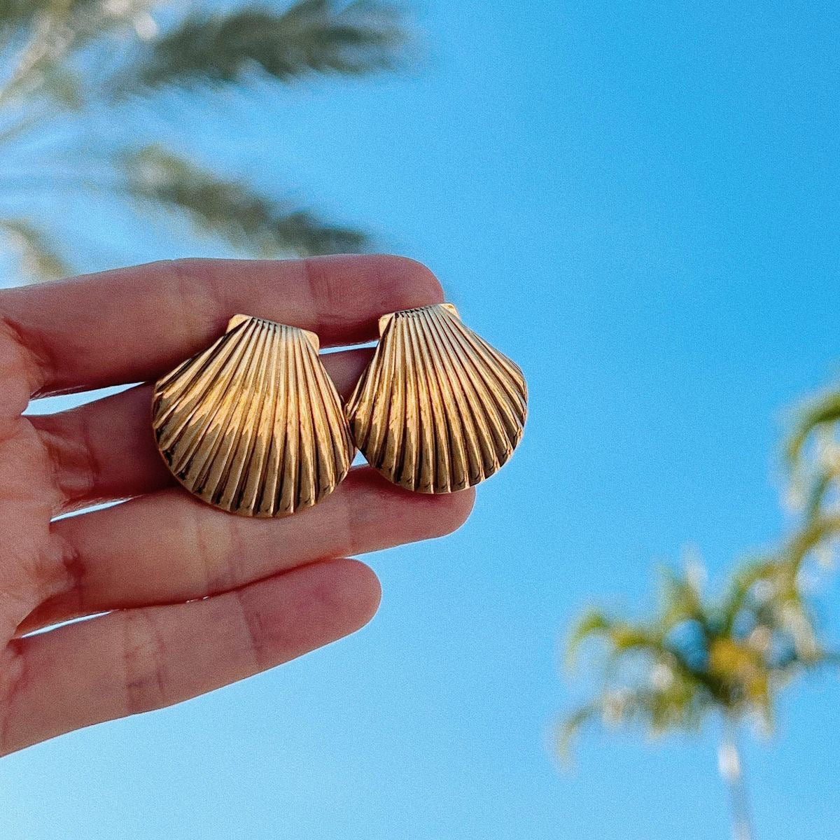 Shell Stud Earrings