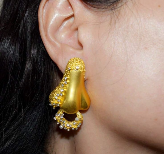 NosePin Earrings