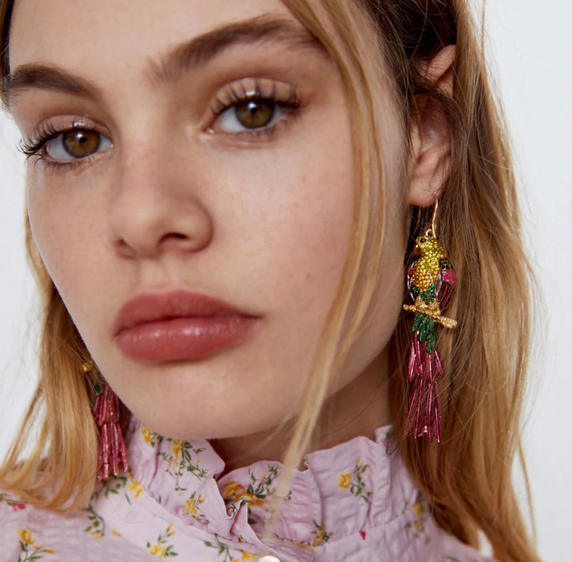 Parrot Earrings